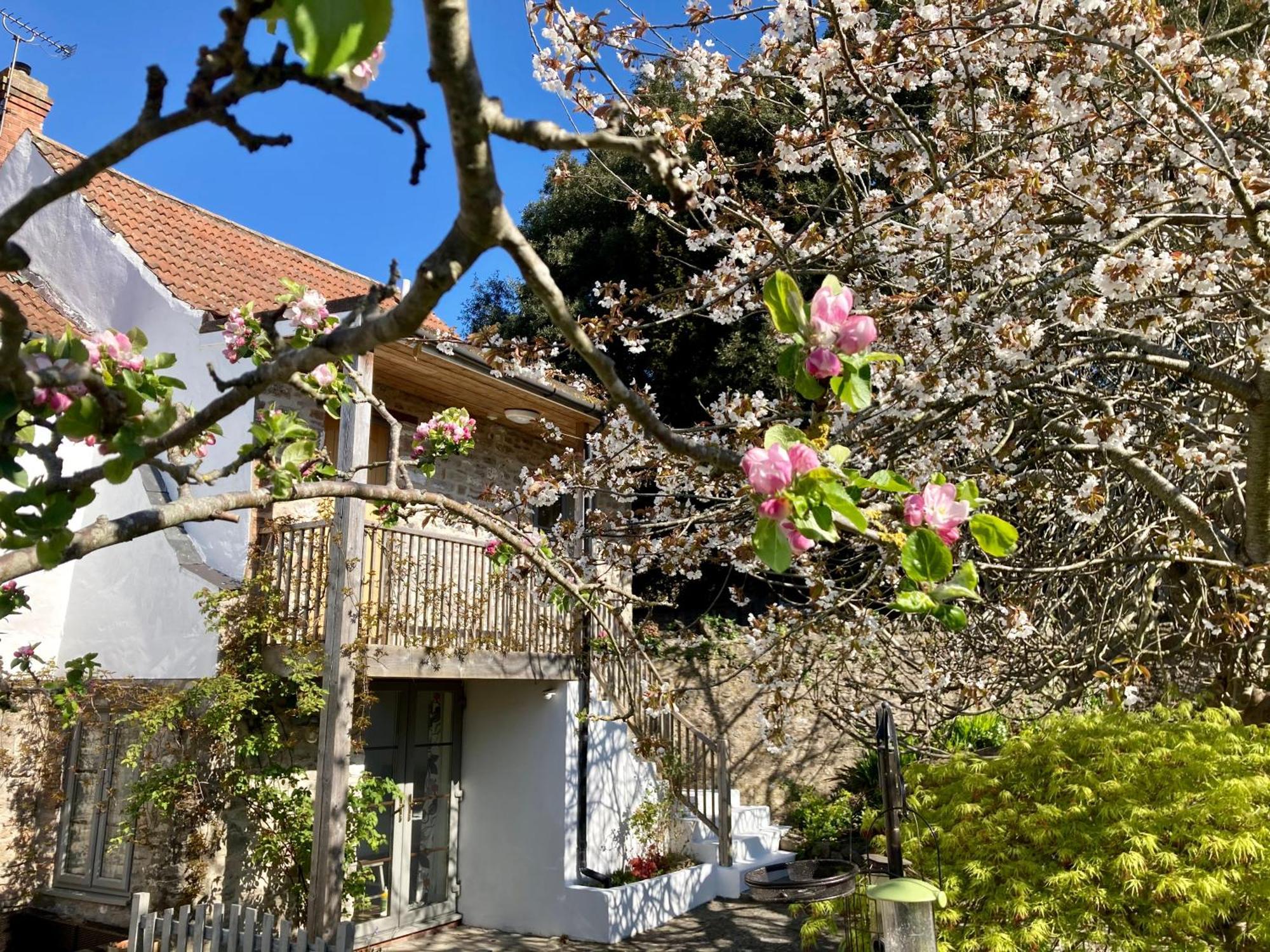 Westbury Cross House Bed & Breakfast Exteriör bild
